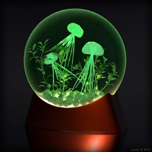 Jellyfish Tank preview image